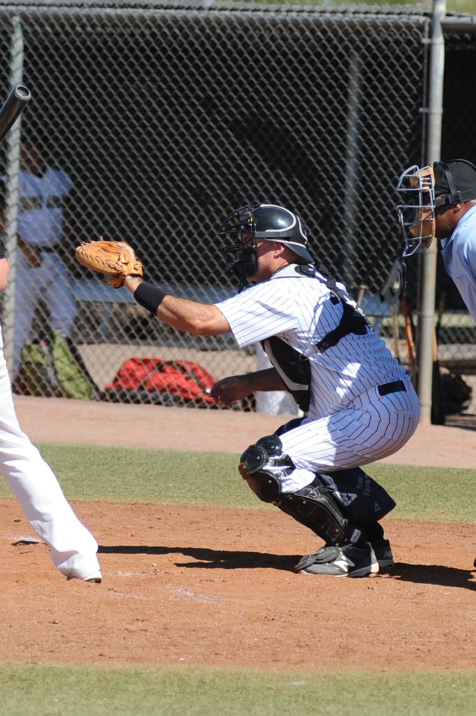 Seals_2017-10-12 (587).JPG - (c)2010 DeVetter